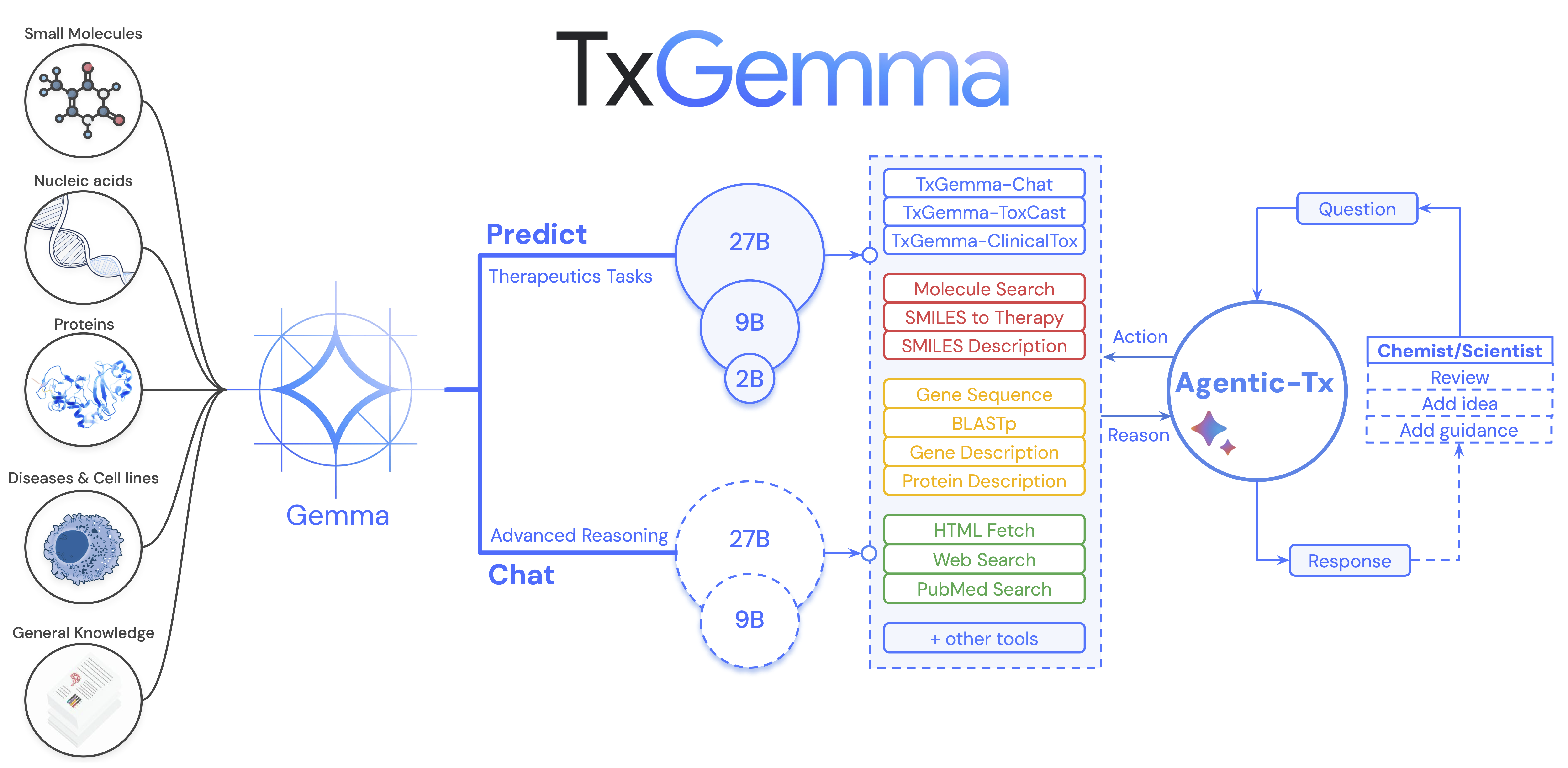 TxGemma architecture