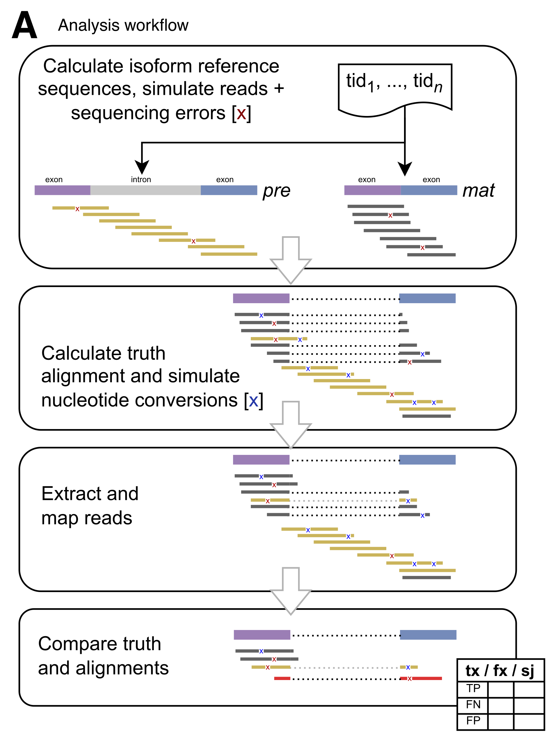 Splice_sim workflow